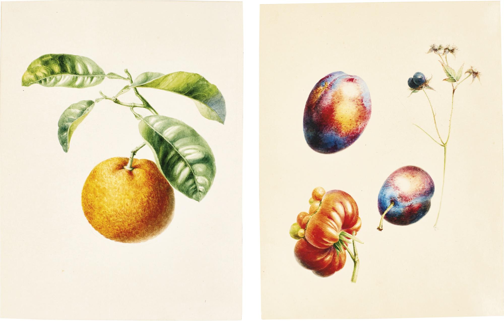 Willem Hekking I - Eight Watercolours Of Fruits, Vegetables And Nuts
