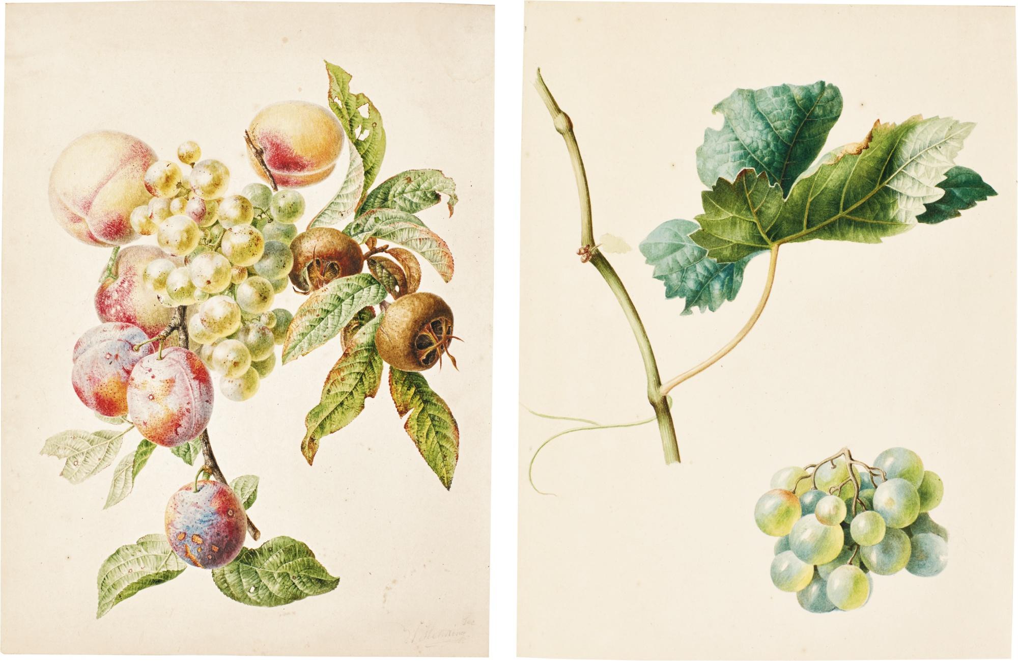Willem Hekking I - Five Watercolours Of Fruits