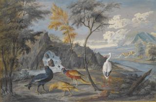 Willem Ii Van Royen - A Stork, A Pheasant, A Blackcock And Another Bird In A Landscape