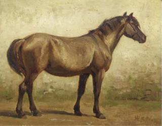 Willem Karel Nakken - A brown horse - a study