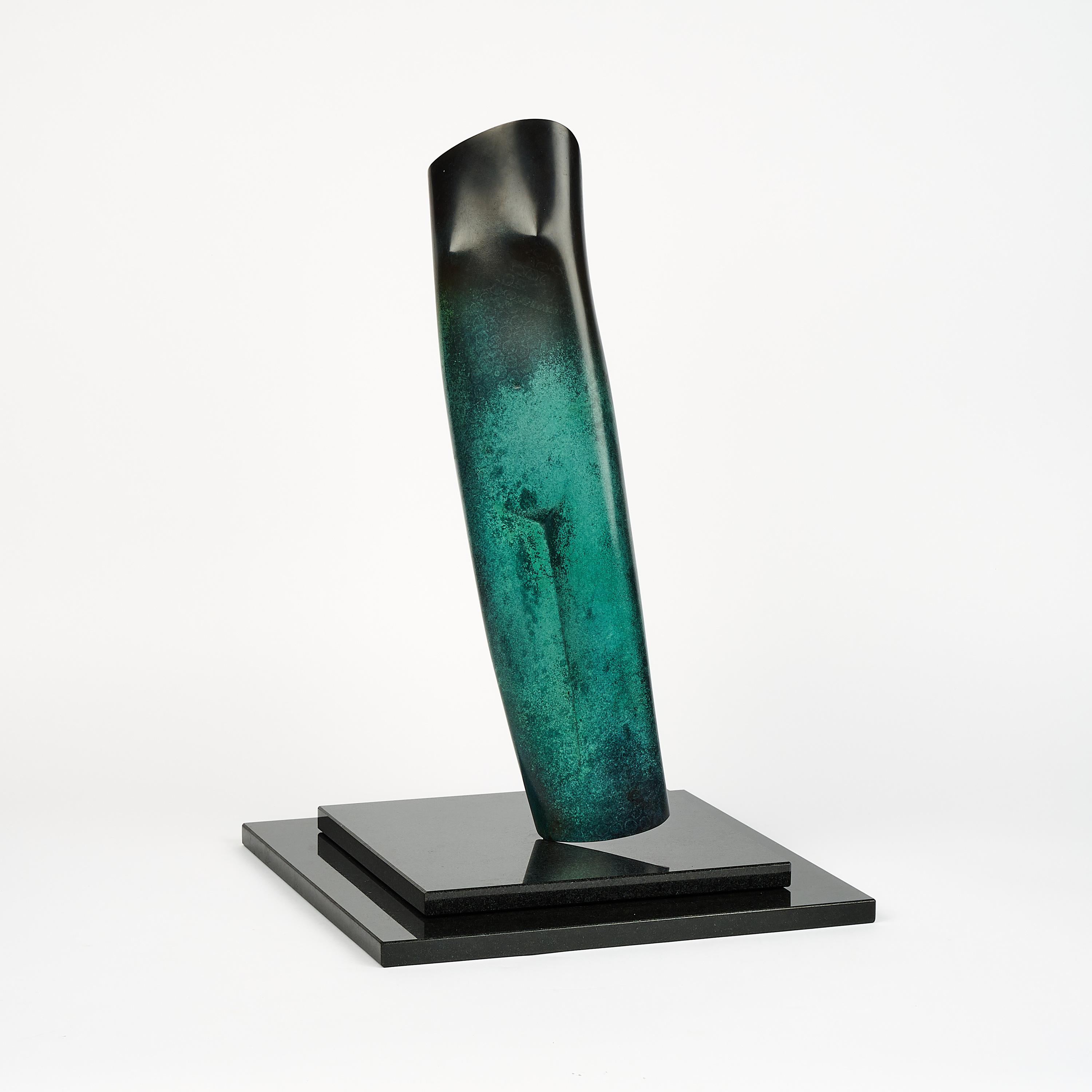 Willem Lenssinck - Kokerjuffer.