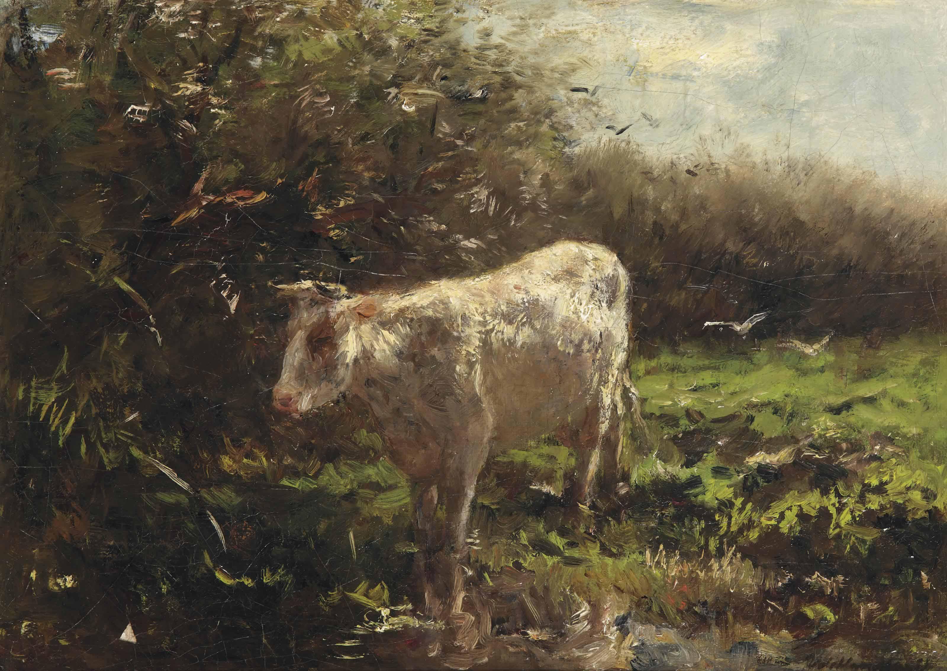Willem Maris - A Cow Near The Waterfront