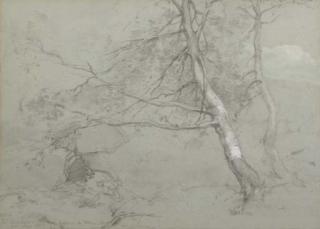 Willem Maris - Under A Tree In Norway