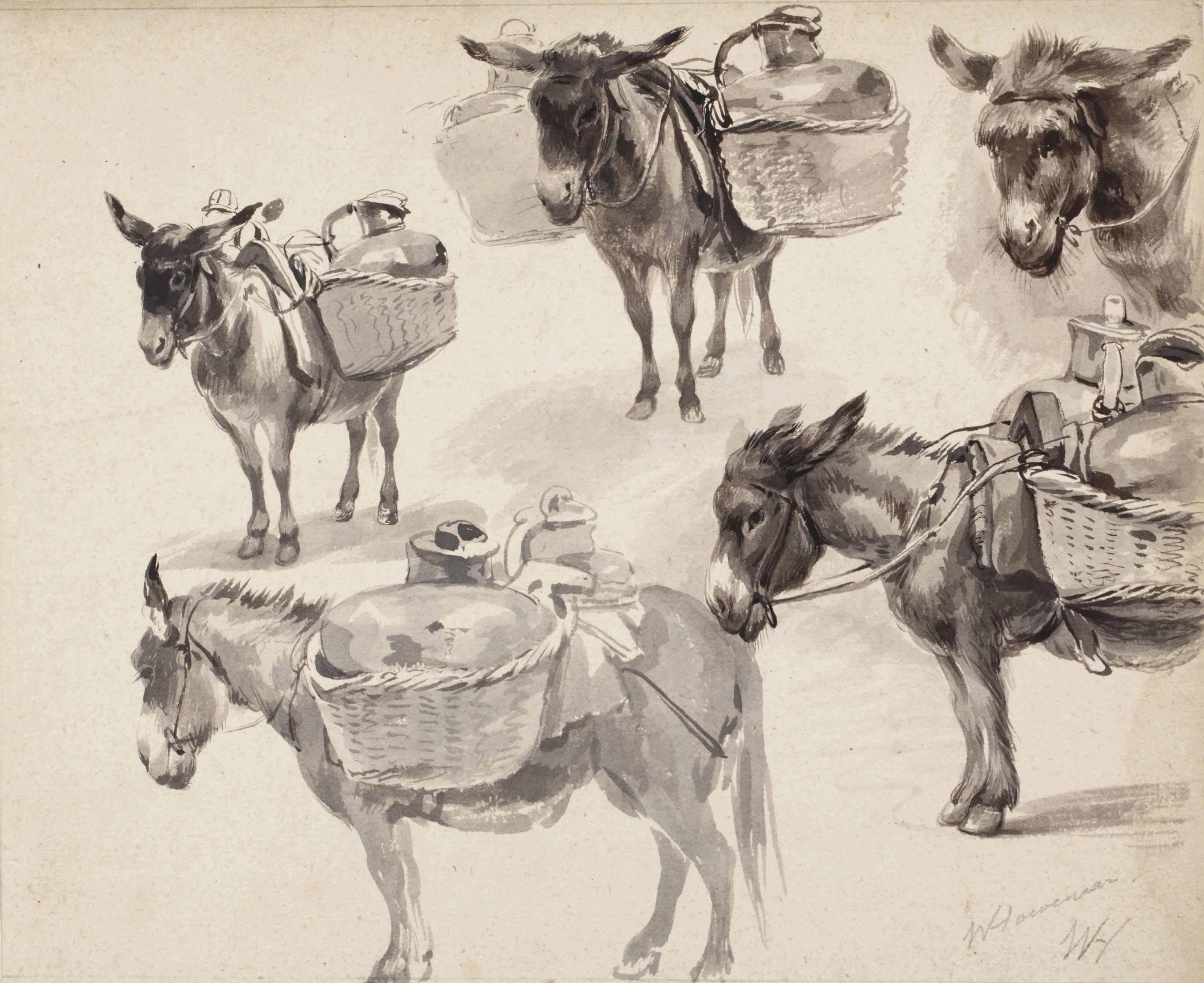 Willem Pieter Hoevenaar - Studies of mules