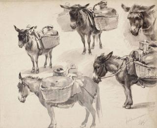 Willem Pieter Hoevenaar - Studies of mules
