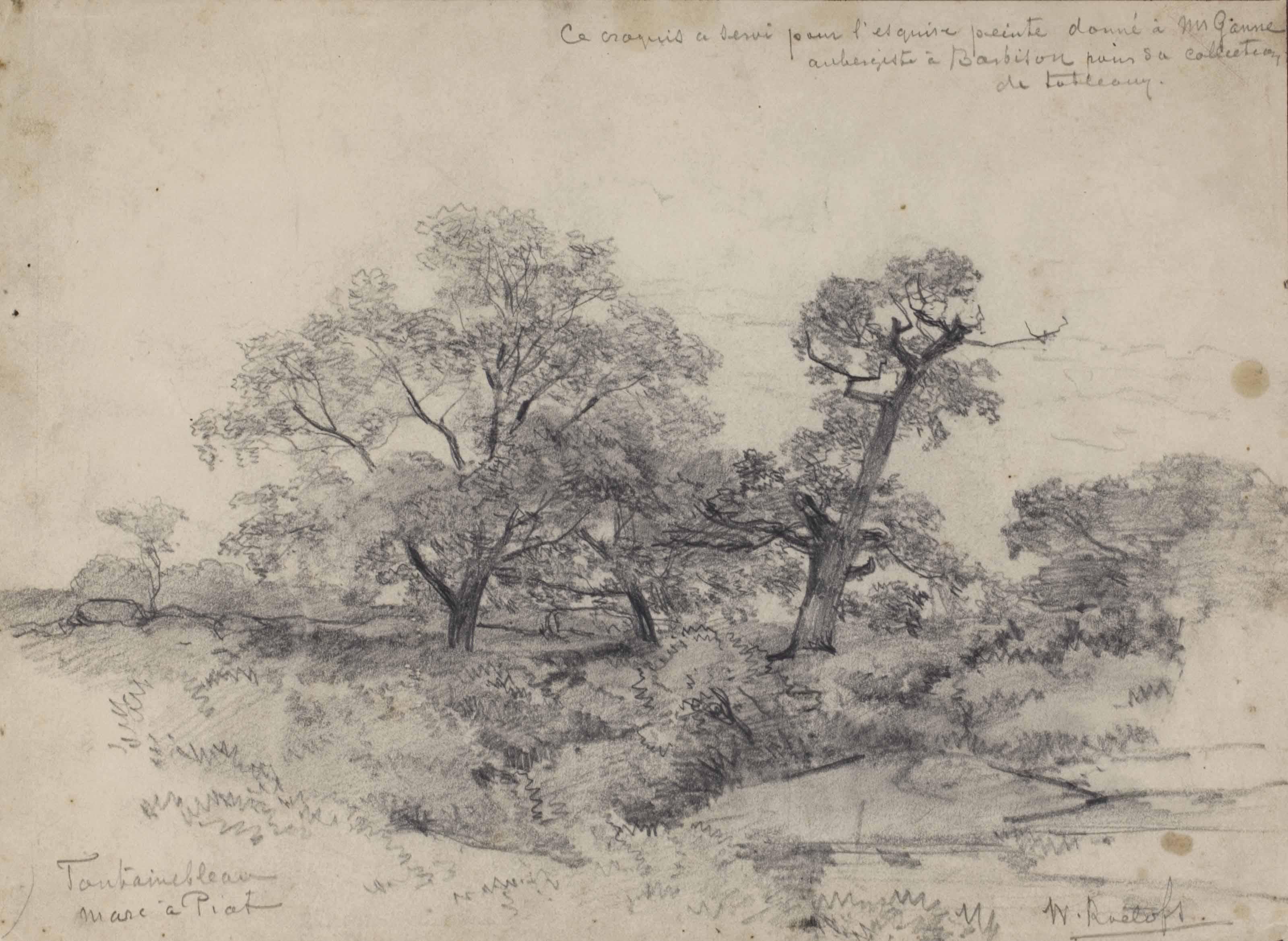 Willem Roelofs - Trees by the Mare à Piat in the Fontainebleau forest