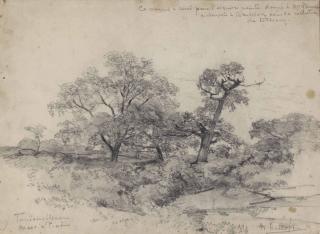 Willem Roelofs - Trees by the Mare à Piat in the Fontainebleau forest