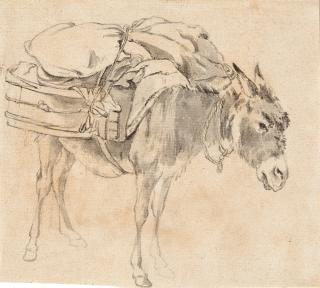 Willem Romeyn - Eselstudien.