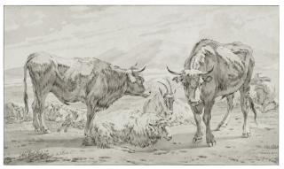 Willem Romeyn - Two bullocks with a sheep and a goat