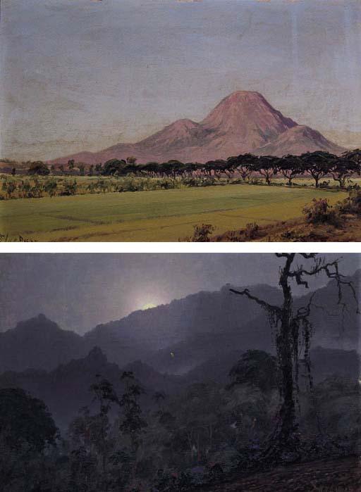 Willem Van Der Does - A moonlit landscape; A view of the sawah with mountains in the distance