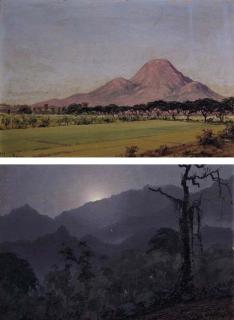 Willem Van Der Does - A moonlit landscape; A view of the sawah with mountains in the distance