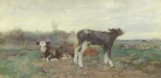 Willem Van Der Nat - Calves in a pasture
