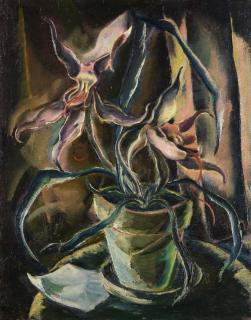 Willi Geiger - Orchideen im Topf