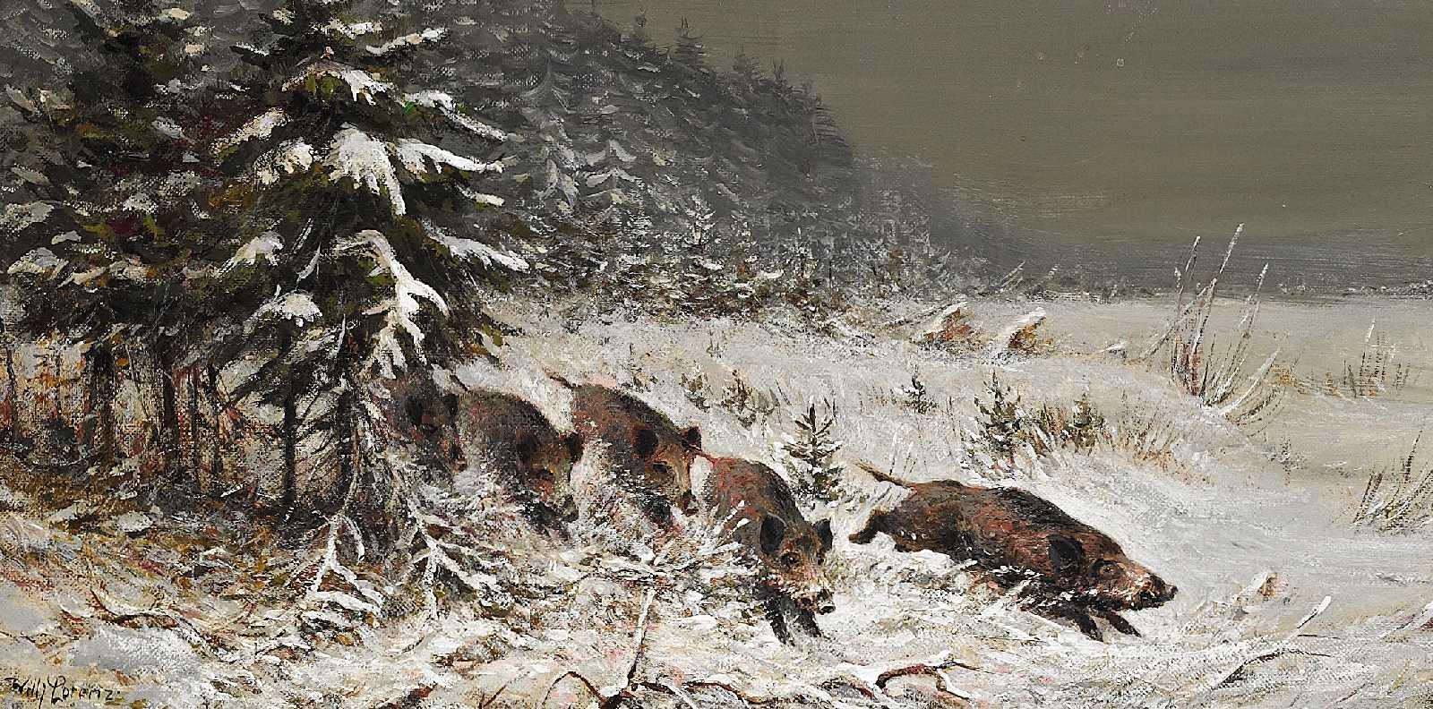 Willi Lorenz - Wildschweine im Winter