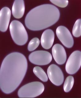 Willi Siber - Tafelobjekt