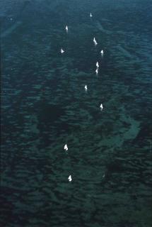 William A. Garnett - Selected Images, 1970s