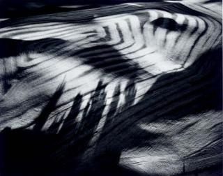 William A. Garnett - Tree Shadows on Grain Farm, Montezuma Hills, California, 1977