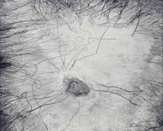 William A. Garnett - Waterhole on Santa Fe Trail with Cattle Tracks, New Mexico, 1975