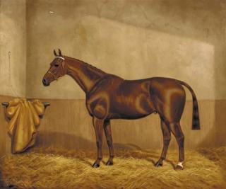 William Albert Clark - A chestnut hunter in a stable