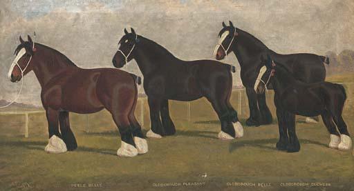 William Albert Clark - Peele Belle, Oldborough Pleasant, Oldborough Belle, And  Oldborough Duchess, Four Shirehorses