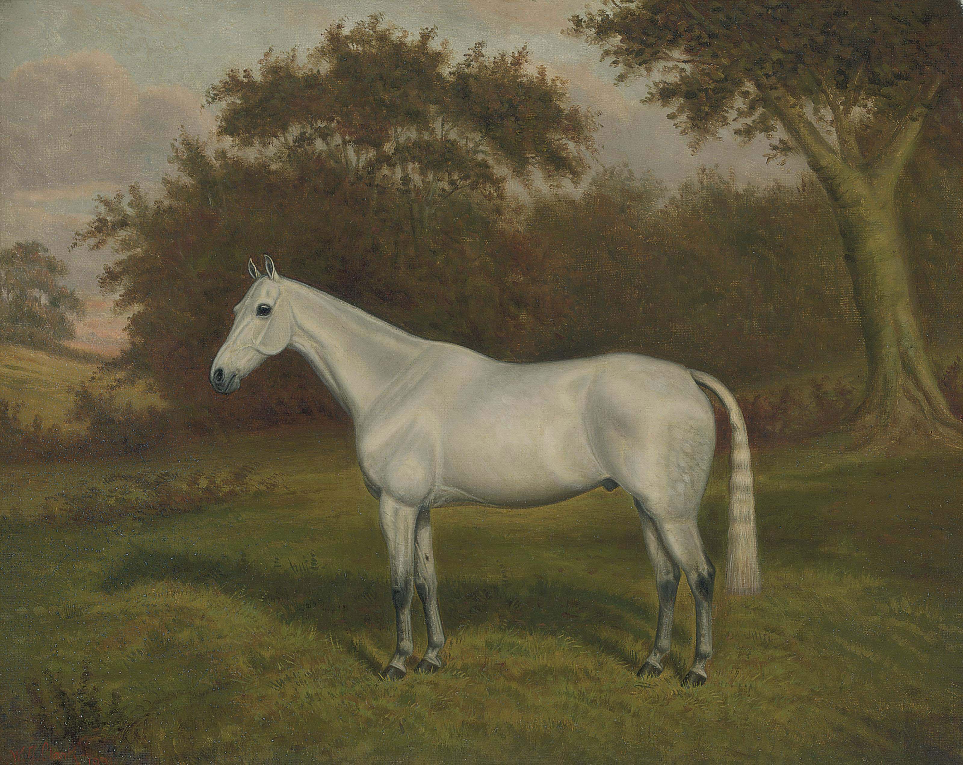 William Albert Clark - Starlight