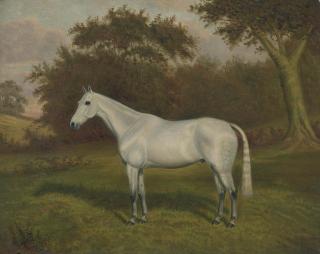 William Albert Clark - Starlight