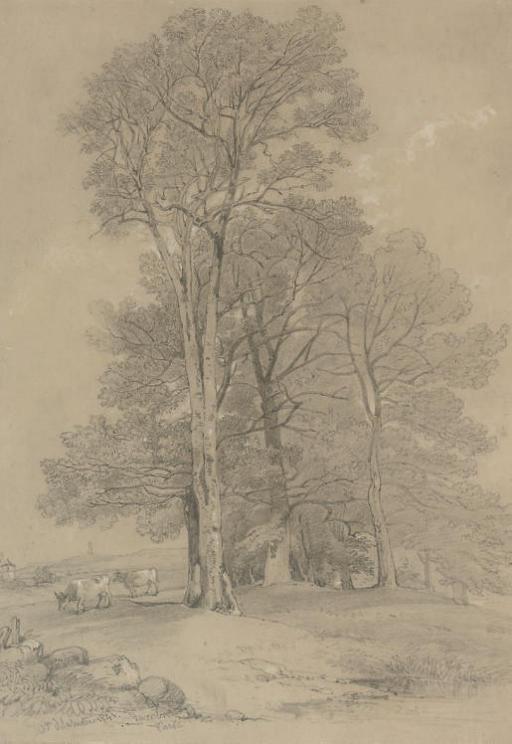 William-Alfred Delamotte - Study of trees