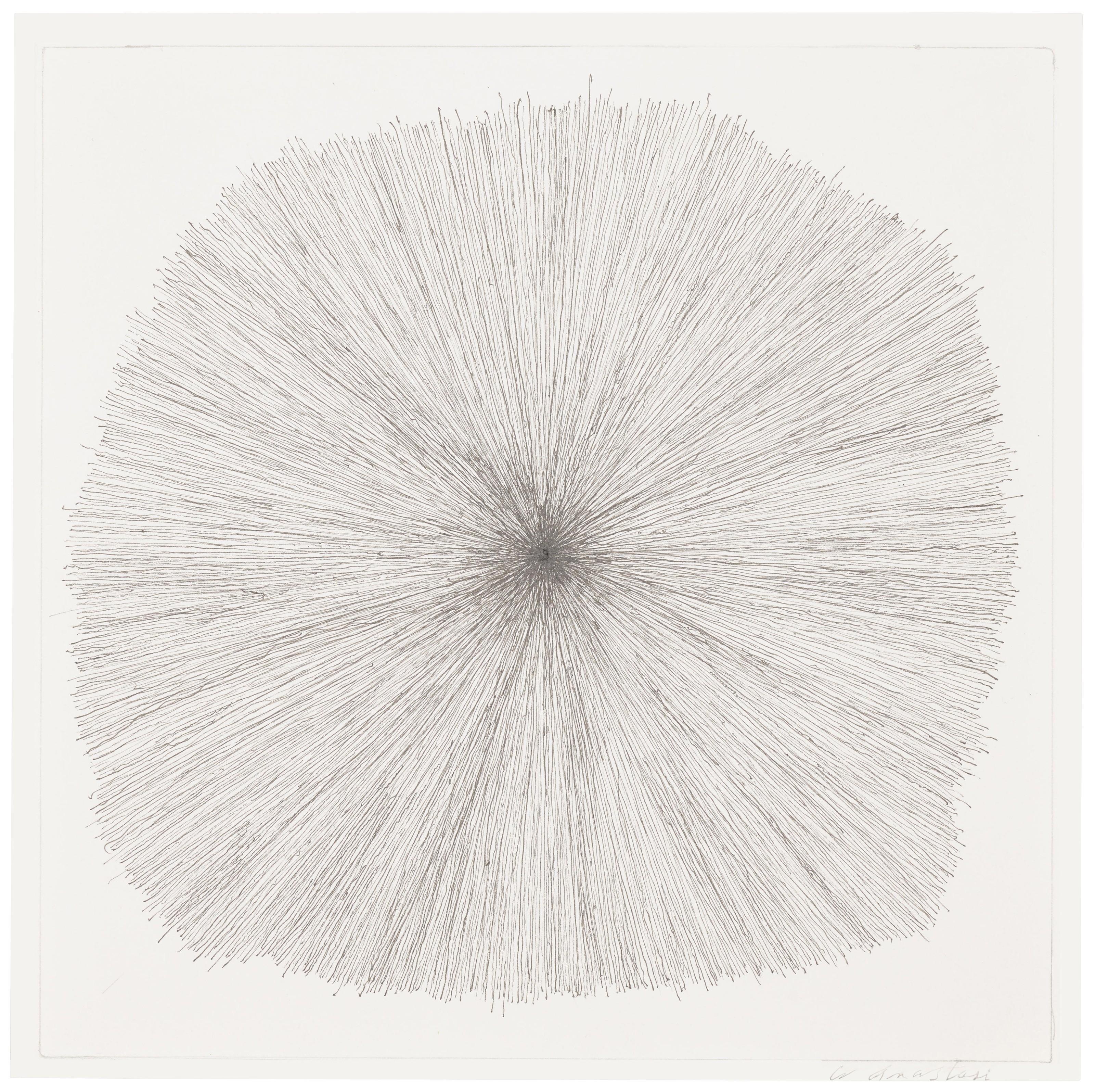 William Anastasi - Untitled (Rose)