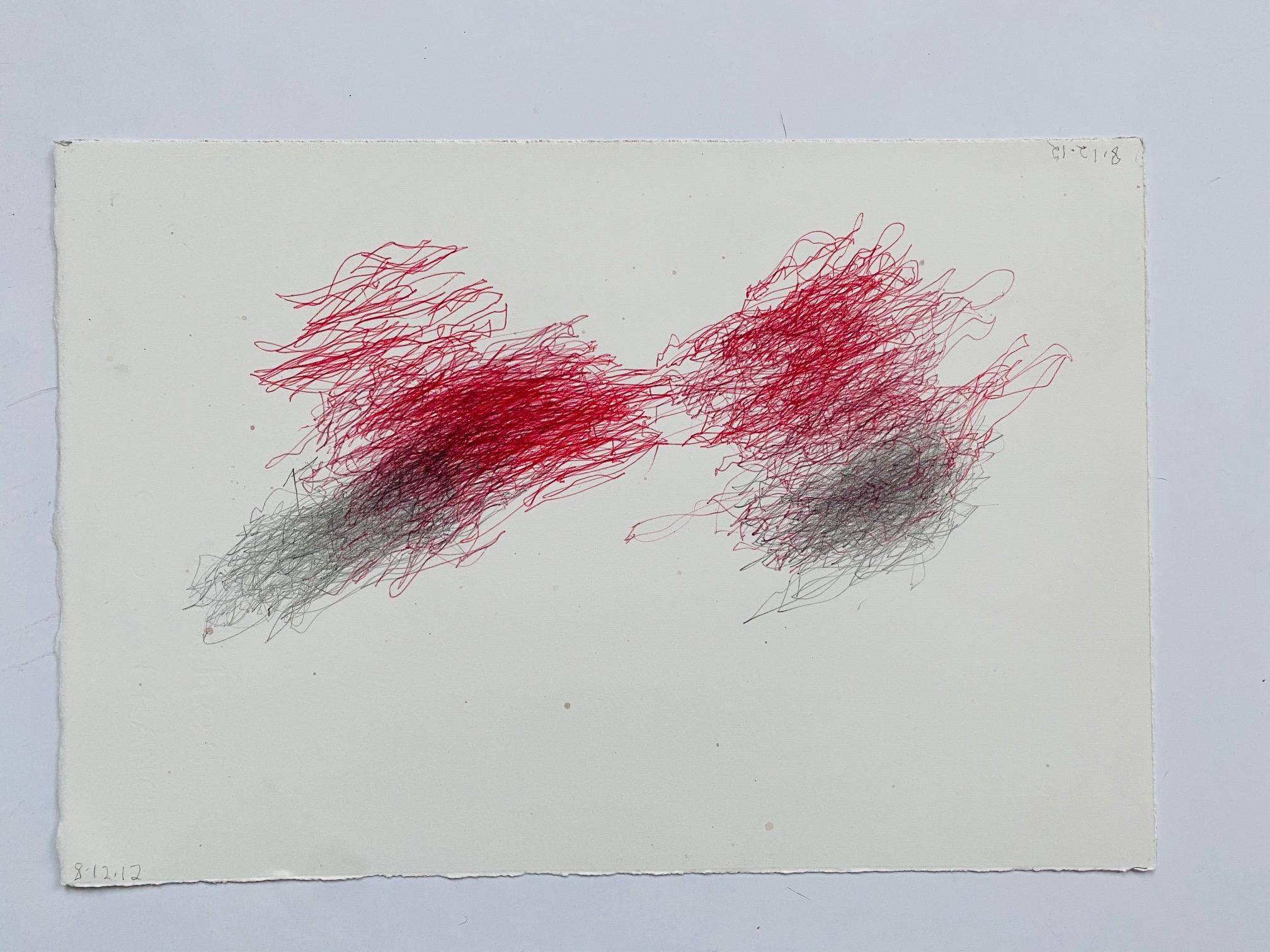 William Anastasi - Walking Drawing (8.12.12)