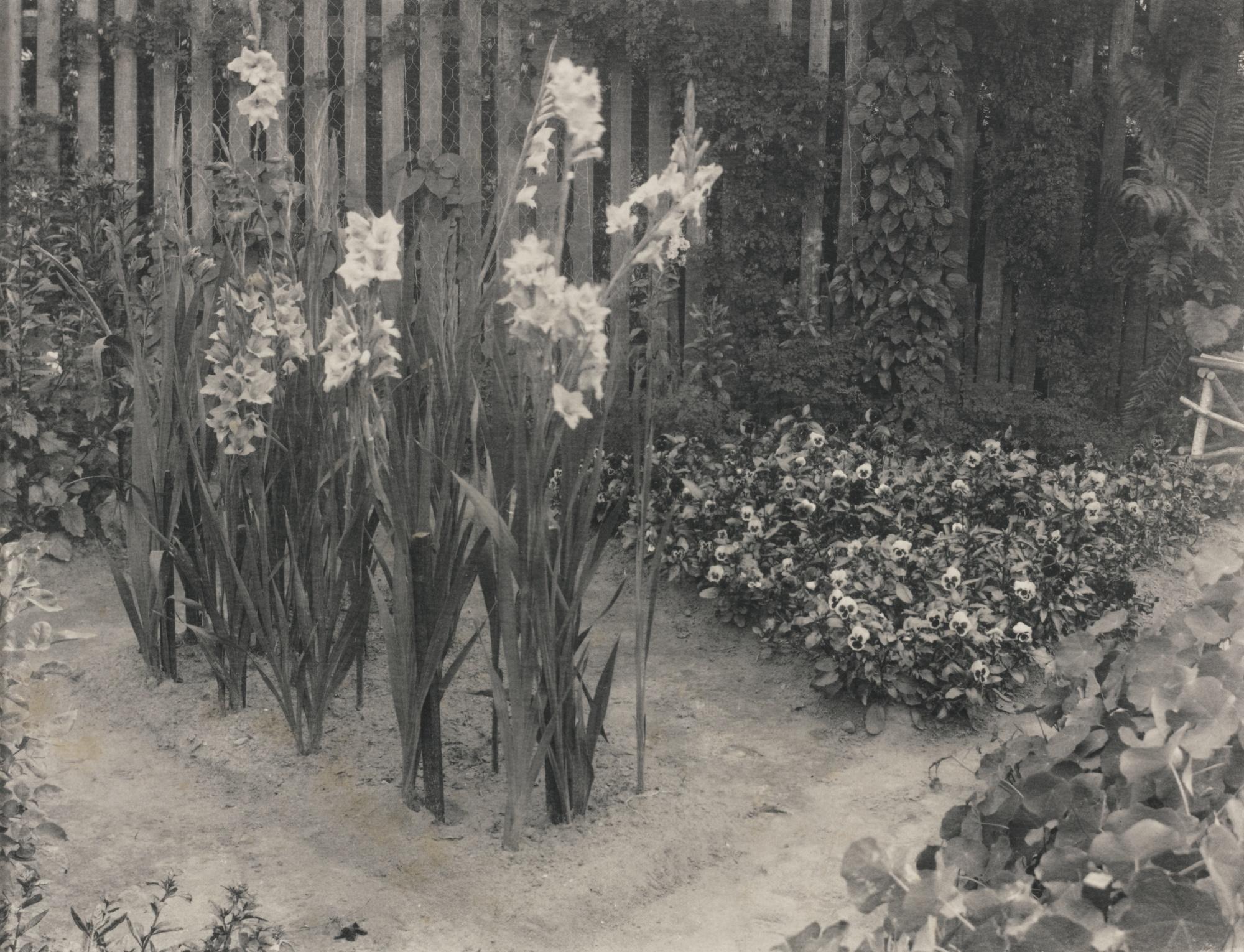 William B. Post - Selected Images