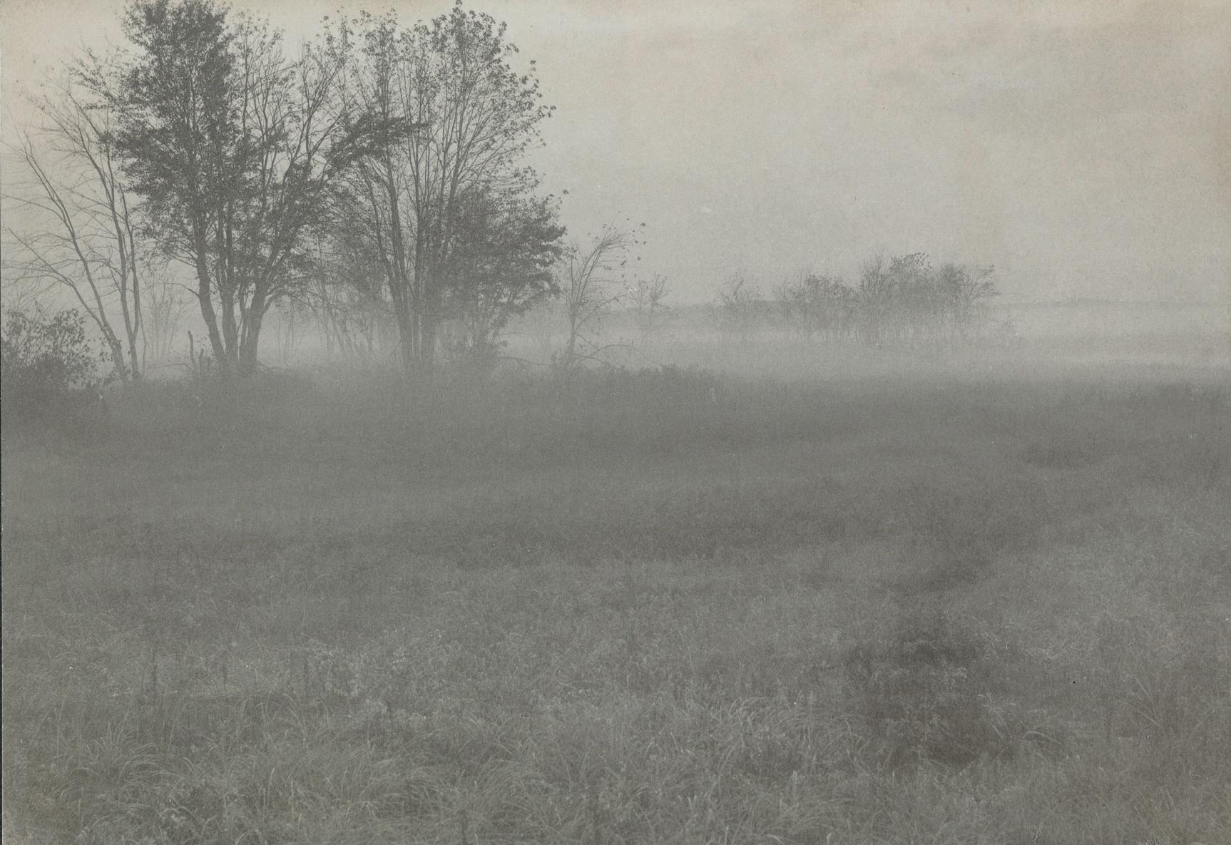 William B. Post - Untitled (Field in fog), c. 1910