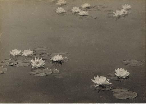William B. Post - Water Lilies, Circa 1902