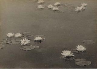 William B. Post - Water Lilies, Circa 1902