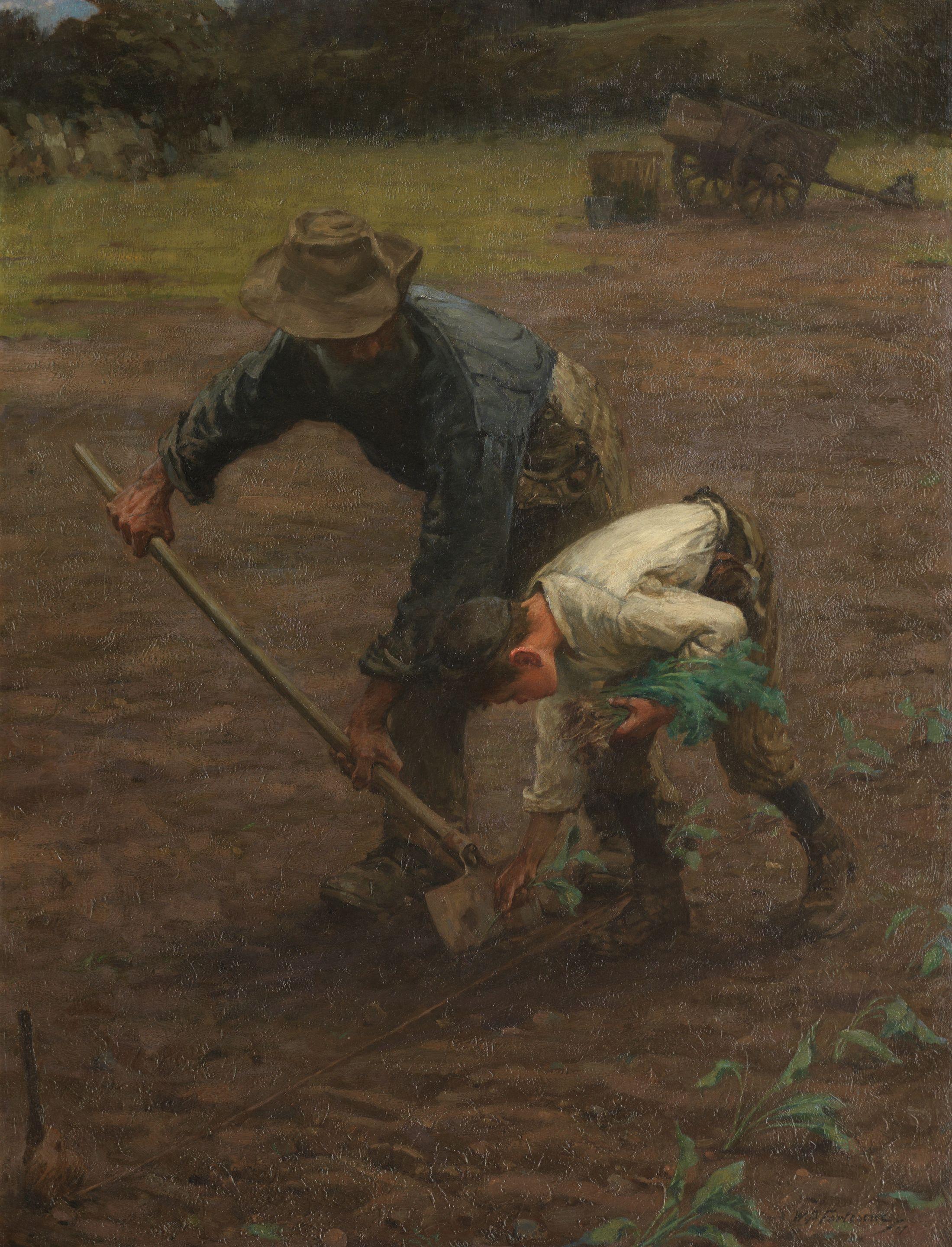 William Banks Fortescue - Putting In Broccoli Plants, Cornwall
