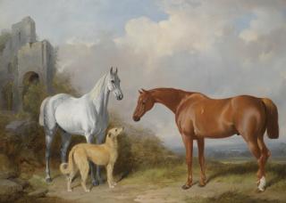 William Barraud - A Grey And A Chestnut Hunter With A Deerhound