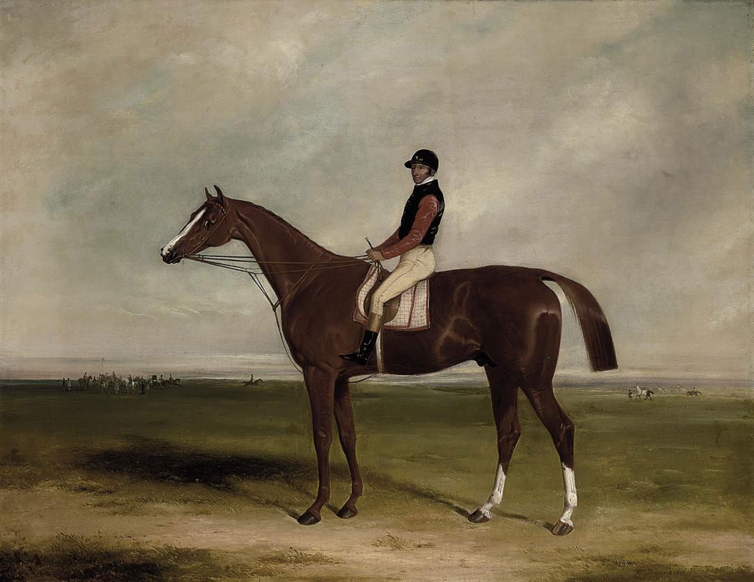 William Barraud - Elis with jockey up