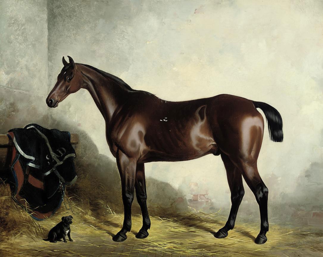 William Barraud - Myrtle and Cricket