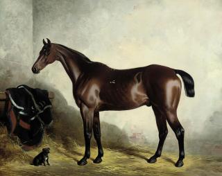 William Barraud - Myrtle and Cricket