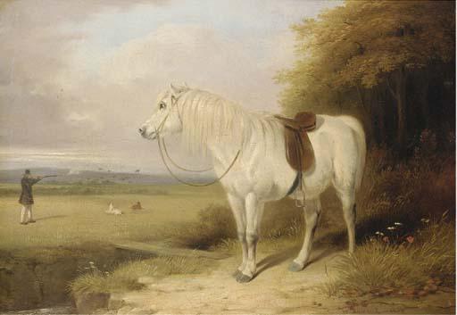 William Barraud - Out Shooting