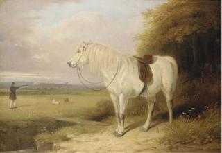 William Barraud - Out Shooting