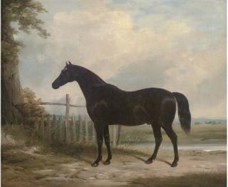 William Barraud - Plato, The Property of The Marquess of Hastings