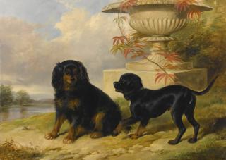 William Barraud - Portrait Of Lord Methuen\'S Spaniels, Gipsy And Fairy