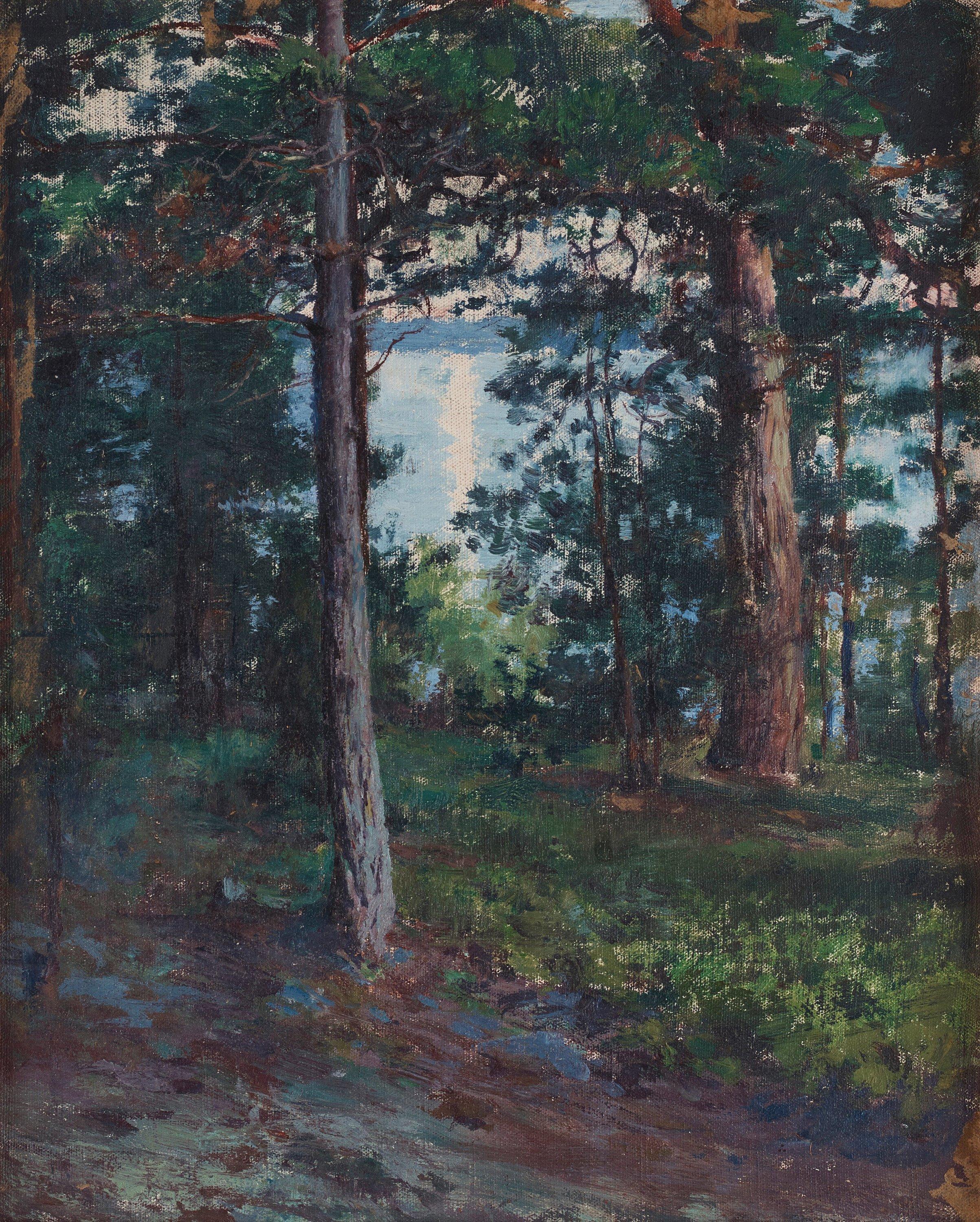 William Blair Bruce - Forest landscape
