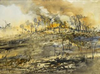 William Boissevain - After The Bushfire