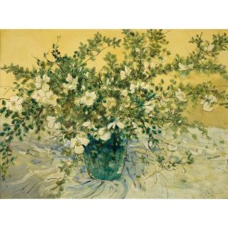 William Boissevain - Australian Dog Roses