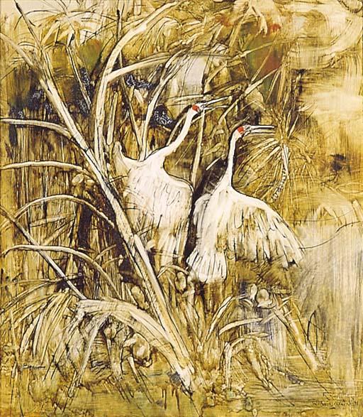 William Boissevain - Ibises