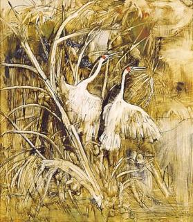William Boissevain - Ibises