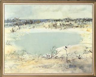 William Boissevain - Still pool