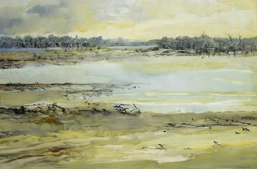 William Boissevain - Swamp Land