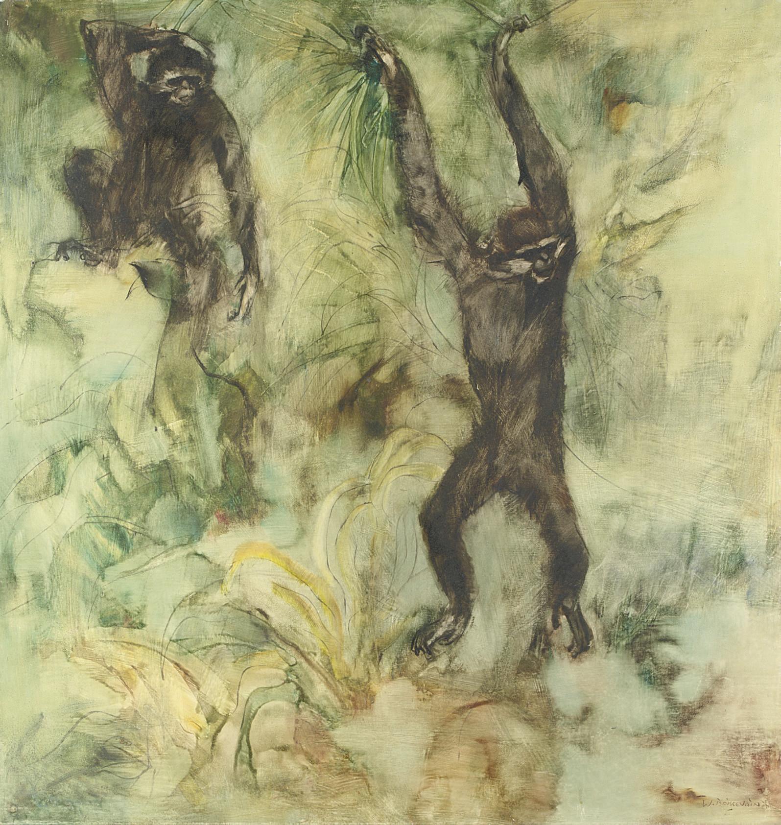 William Boissevain - The gibbons